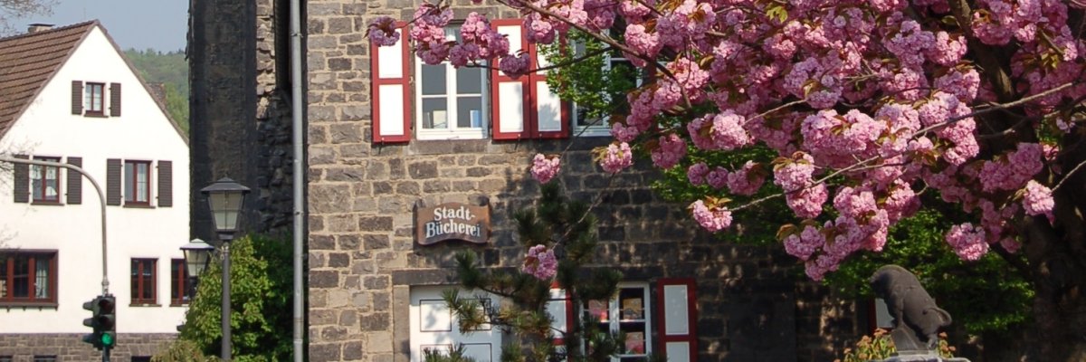 Obertor & Theodore-Dreiser-Haus mit Blütenpracht