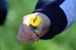 Biene mit Blume in Kinderhand Biene mit Blume in Kinderhand