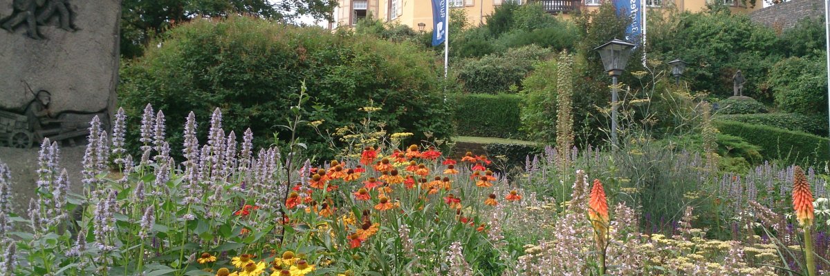 Bienenstauden am Burgberg Bienenstauden am Burgberg