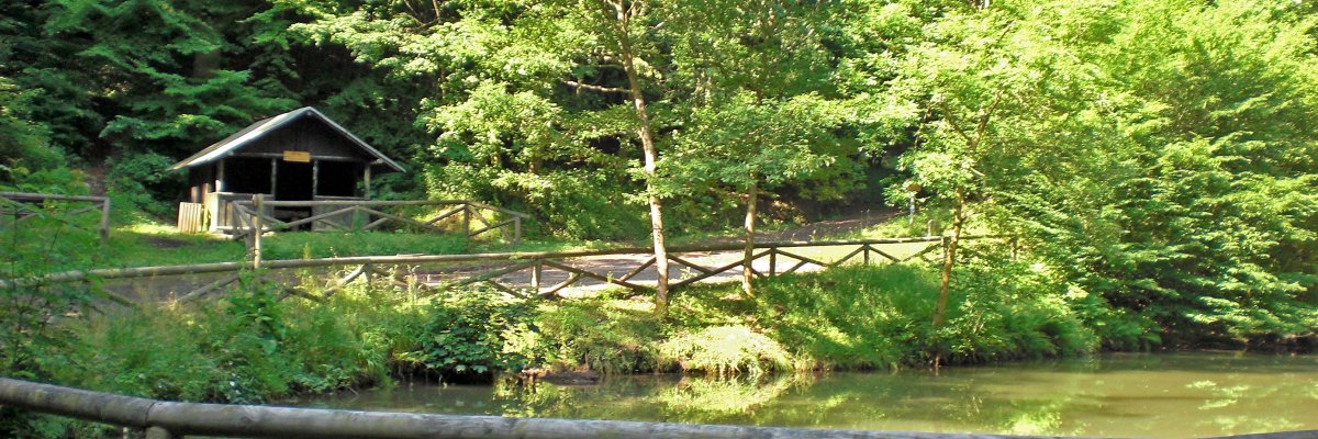 Eiterbachweiher im Mayener Stadtwald