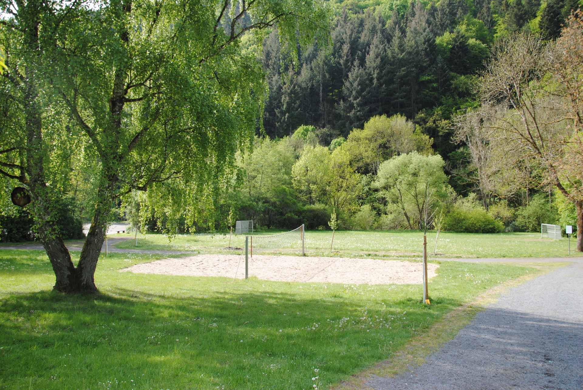 Grüner Rasen mit Baum und Volleyballplatz aus Sand