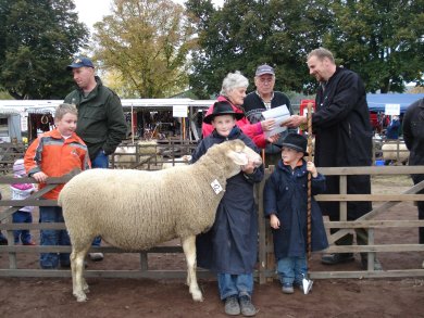Besucher streicheln das Schaf auf dem Schafmarkt