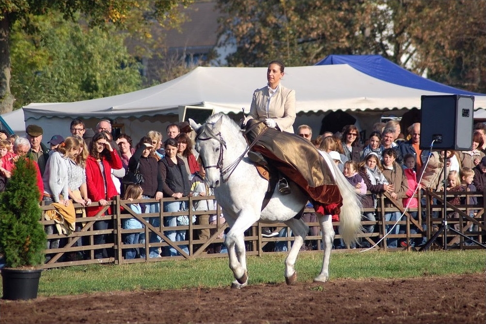 Pferdemarkt auf dem Viehmarkt-Platz Eine Frau reitet auf einem Pferd über den Pferdemarkt