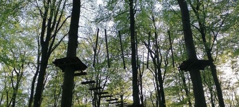 Klettermöglichkeiten im Kletterwald Klettermöglichkeiten im Kletterwald