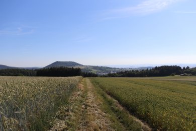 Blick in die Eifel vom Steinbüchel