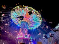 Wellenflug im Dunkeln