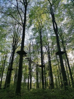 Klettermöglichkeiten im Kletterwald