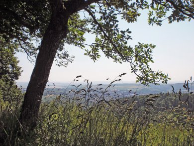Ausblick in die Landschaft