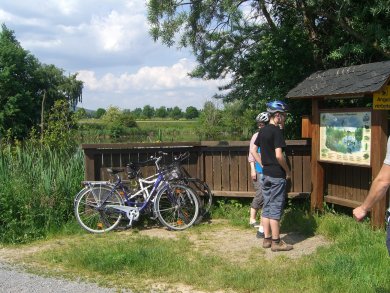 Radfahrer auf dem Vulkanpark-Radweg bei den Thürer Wiesen