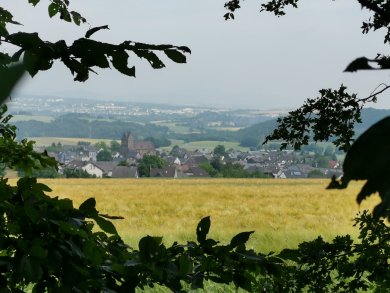 Landschaftsaufnahme von Alzheim