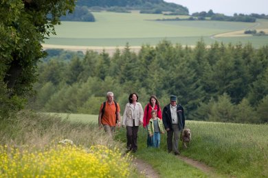 Eine Gruppe Wanderer auf dem Förstersteig