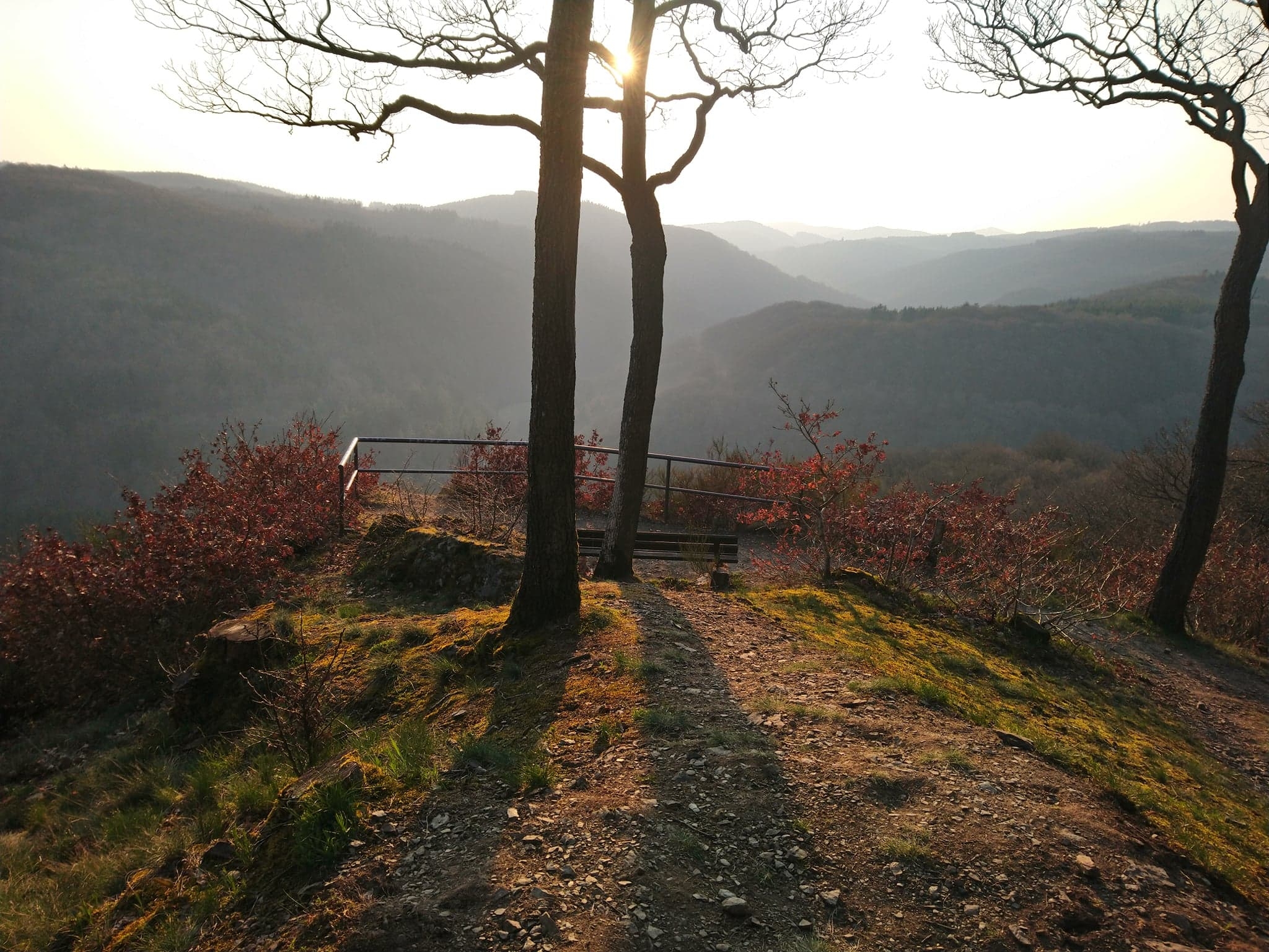 Panoramablick vom Wanderweg, mit einer Bank als Sitzgelegenheit