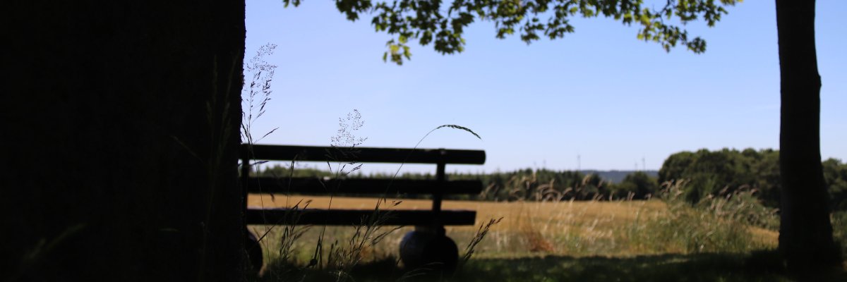 Schattiger Rastplatz für Wanderer am Rande des Wanderweges