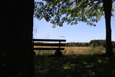 Schattiger Rastplatz für Wanderer am Rande des Wanderweges