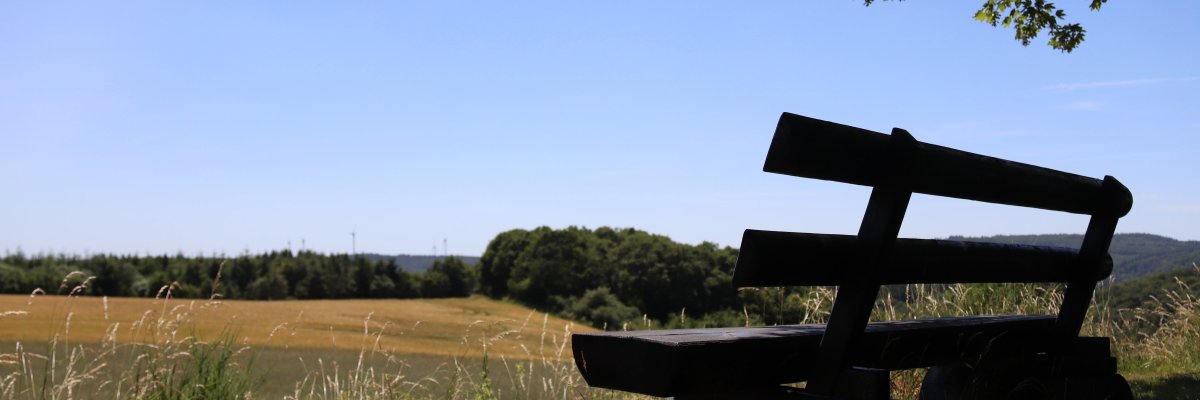 Bank am Rande eines Wanderweges unter einem Baum mit Blick in die Eifel