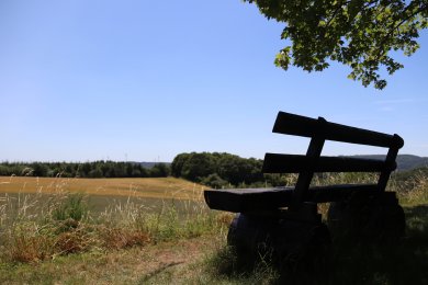 Bank am Rande eines Wanderweges unter einem Baum mit Blick in die Eifel