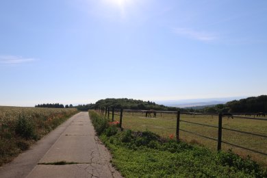 Feldweg entlang einer Weide unter blauem Himmel