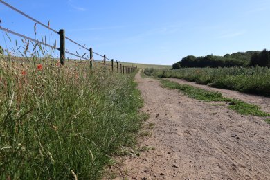 Weg entlang einer Weide unter blauem Himmel