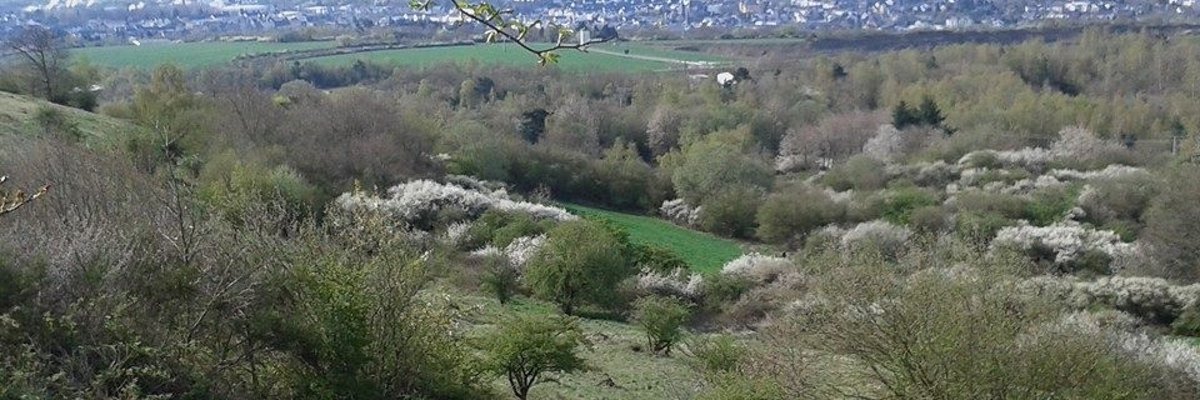 Blick vom Bellerberg auf Mayen auf dem Vulkanpfad