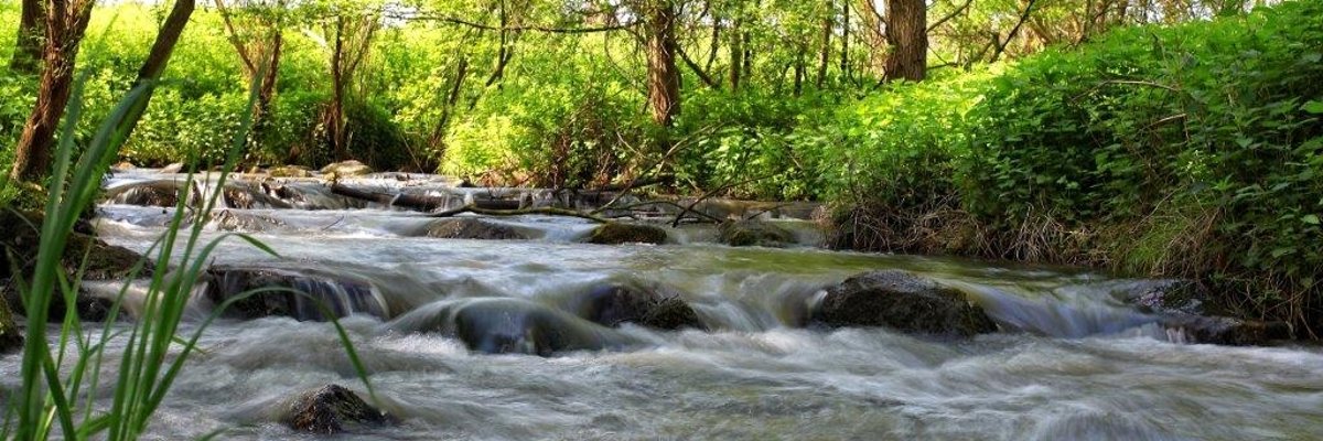 Die Nette in der Nähe von Weißenthrum auf dem Nette-Natur-Weg