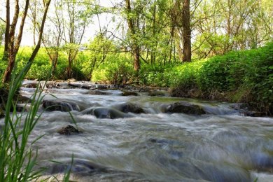 Die Nette in der Nähe von Weißenthrum auf dem Nette-Natur-Weg