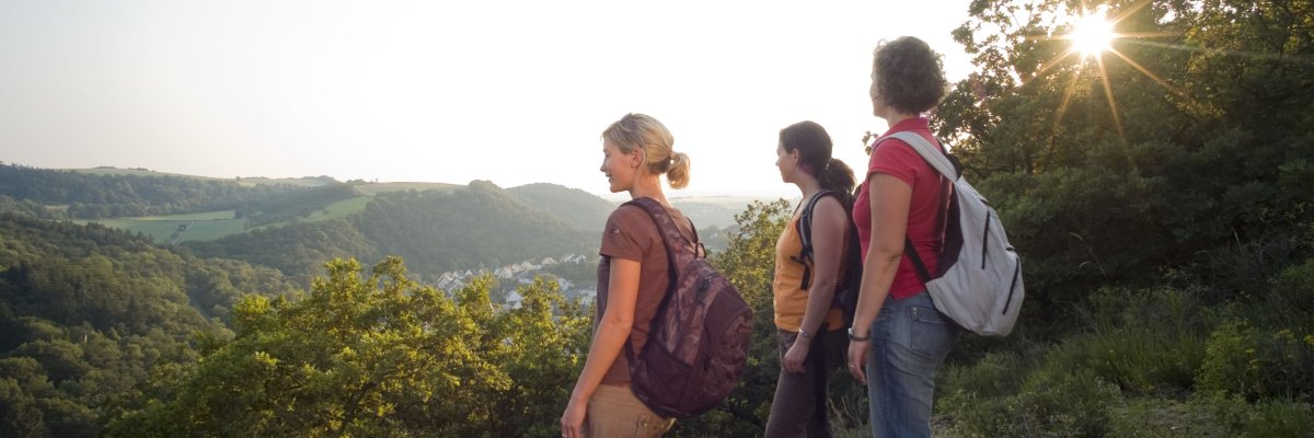 Drei Wanderer vor einer Waldlandschaft