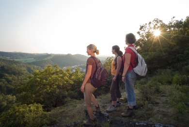 Drei Wanderer vor einer Waldlandschaft