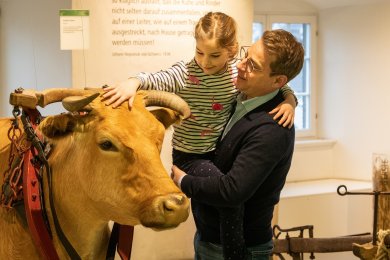 Kind sitzt auf Ausstelungskuh und wird von Mann gehalten