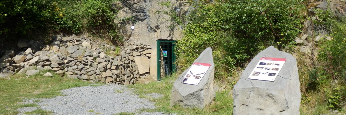 Das Mayener Grubenfeld mit dem Eingang zum Schacht700