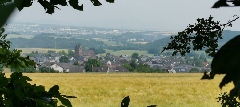 Blick auf Alzheim