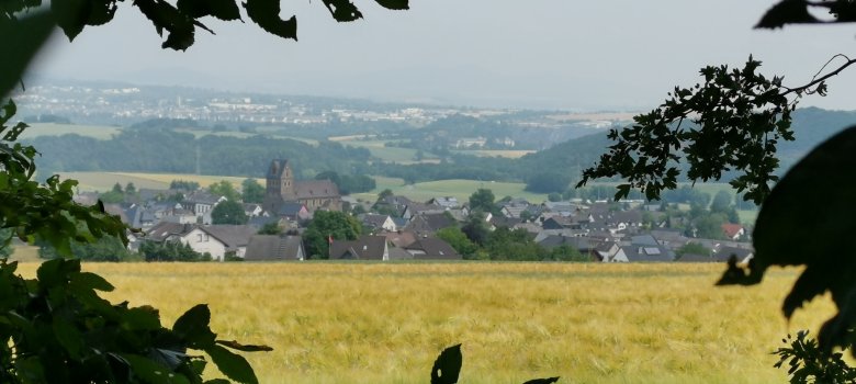 Blick über den Stadtteil Alzheim
