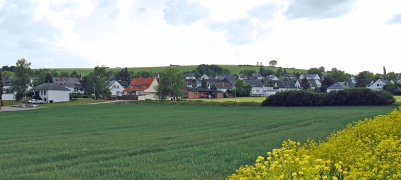 Blick auf Hausen