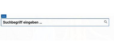 Suchzeile Screenshot einer Suchzeile mit einem Eingabefeld für die Suche.