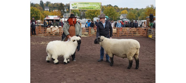 2 Personen mit jeweils einem Schaf, im Hintergrund Zuschauer