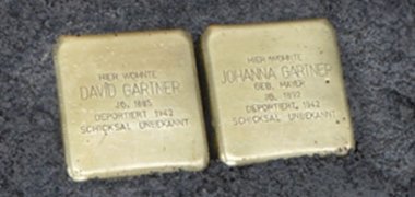 Die goldfarbenen Stolpersteine für David und Johanna Gärtner heben sich gut vom dunkelgrauen Pflaster ab.