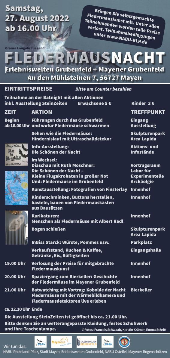 Werbeflyer zur Fledermausnacht 2022