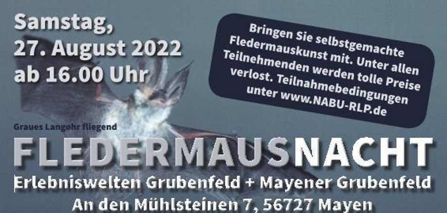 Werbeflyer zur Fledermausnacht 2022