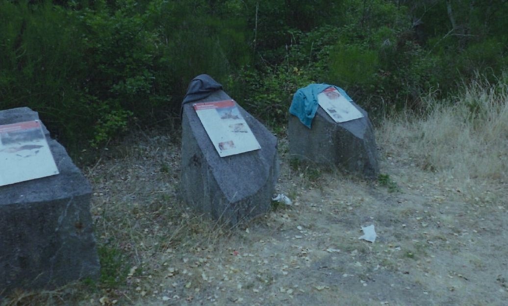 Steine mit Informationstexten sind mit Müll beladen