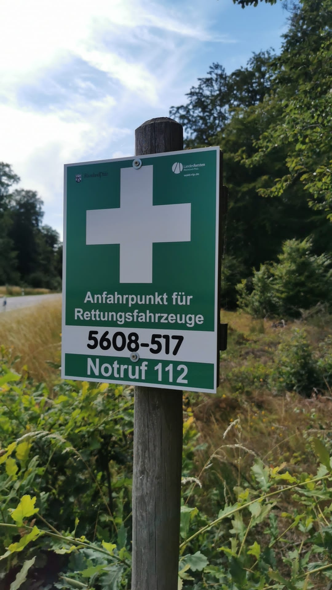 Ein grünes Schild mit einem weißen Kreuz und Notrufnummern am Waldrand