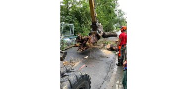 Eine große Wurzel wird mit einem Greifarm gepackt. Daneben steht ein Mann mit einer Kettensäge und Schutzkleidung