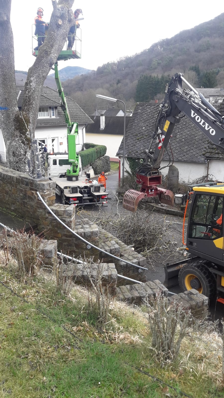 Kollegen des Betriebshofes mit einem Steiger in einer Baumkrone