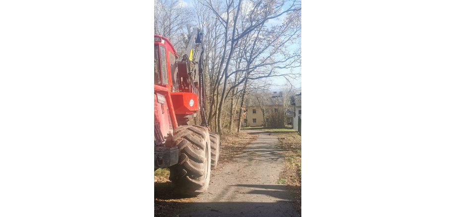 roter Bagger links auf einem Feldweg