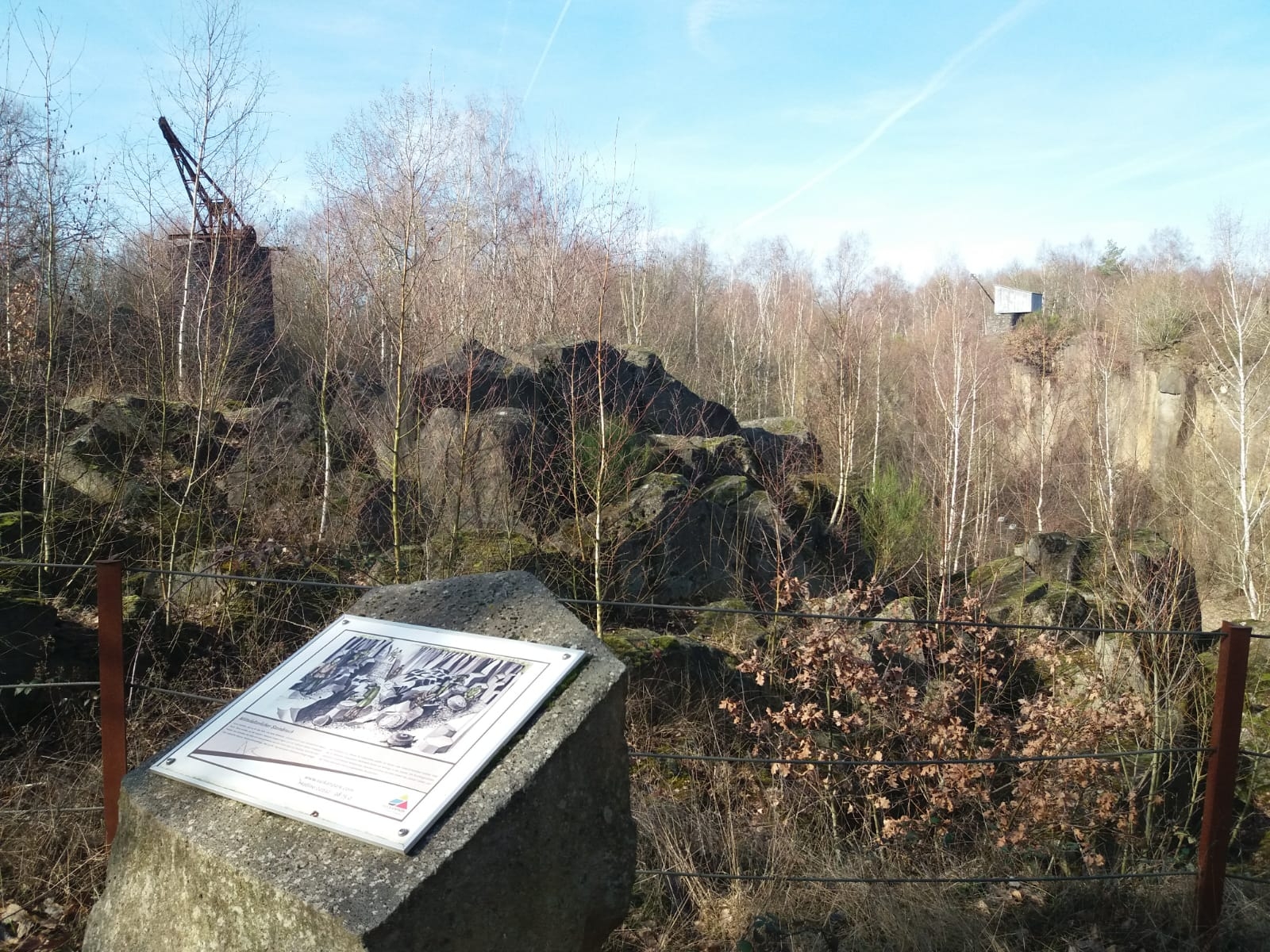 Basaltstein mit einer Geschichtlichen Textscheibe  auf dem Grubenfeld bei tollem Wetter