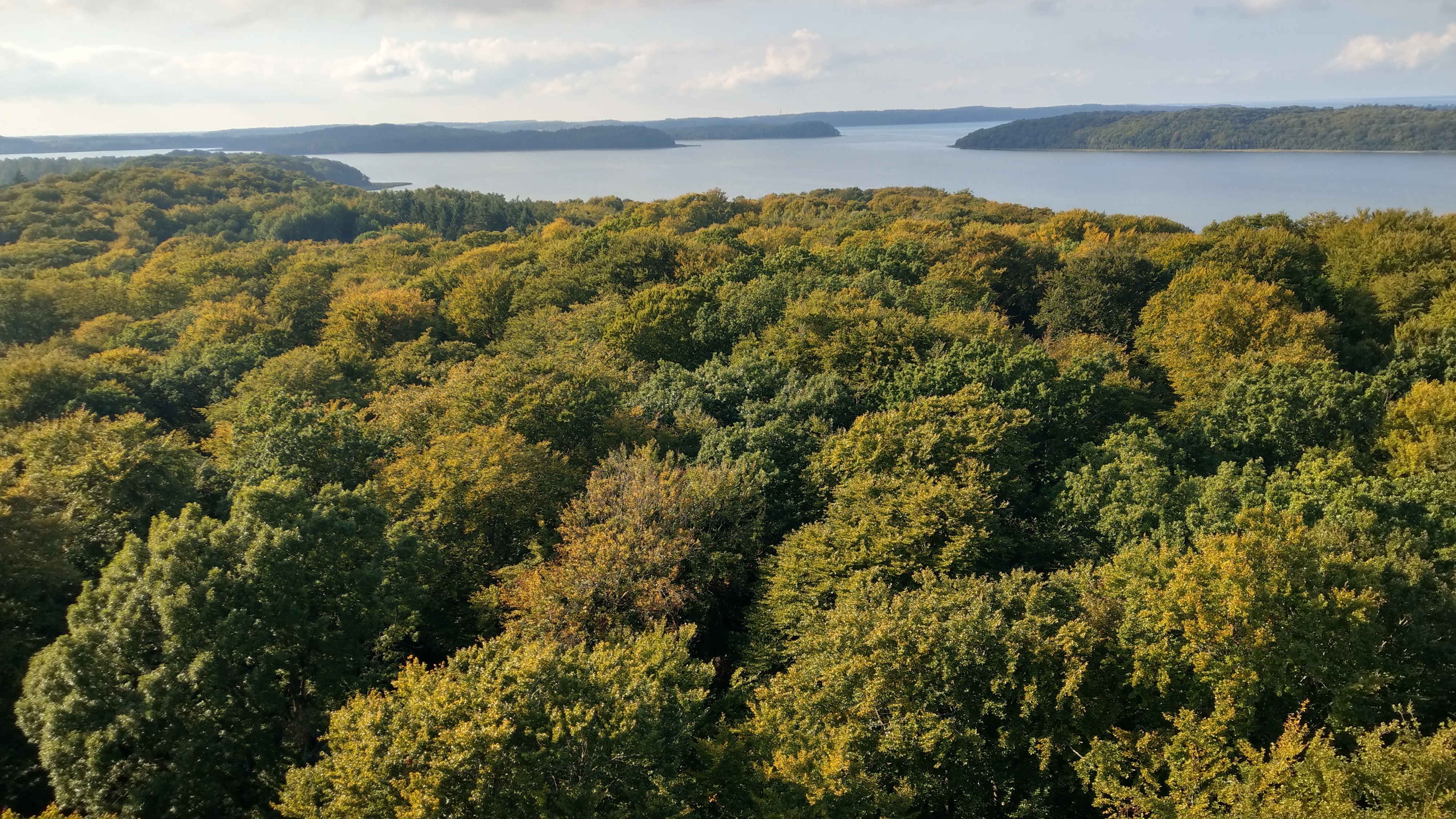 Grüne Bäume mit Blick auf einen großen See