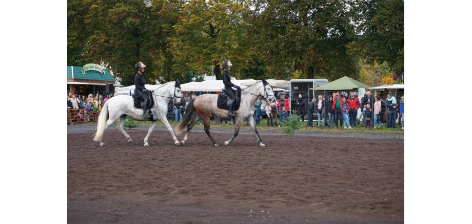 2 Menschen, die auf Pferden reiten, im Hintergrund Zuschauer