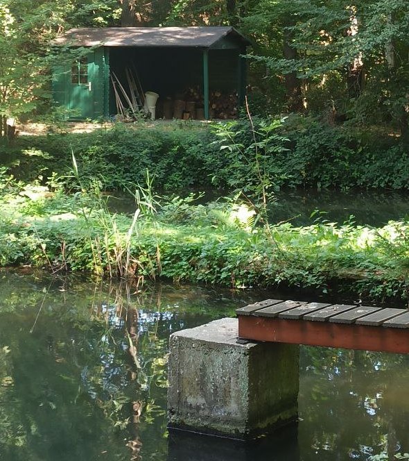 Feuchtbiotope und Unterstellmöglichkeit in Wassenach