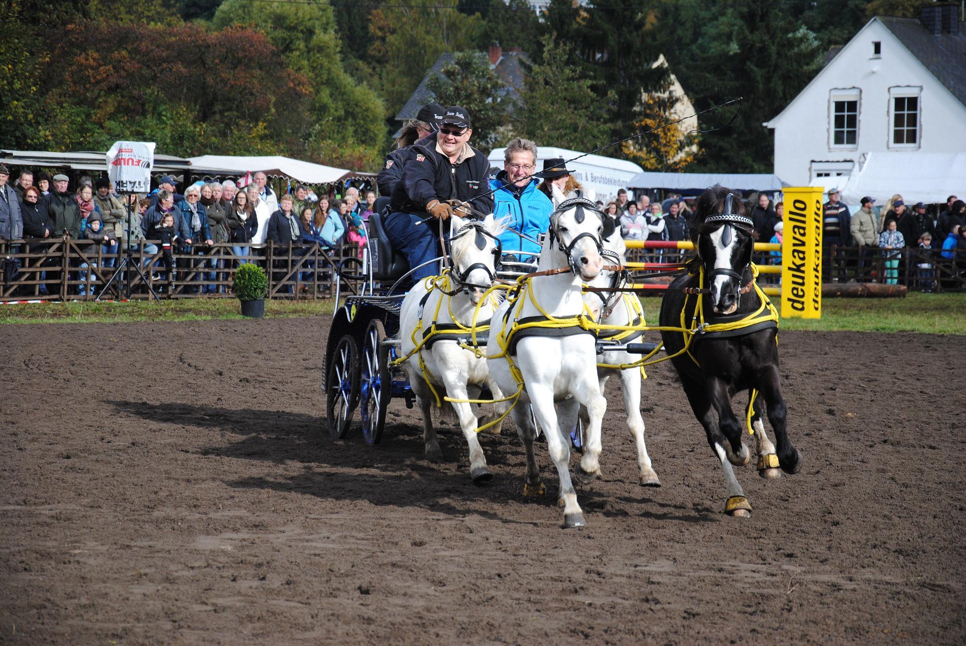 Pferdekutsche im Gespann