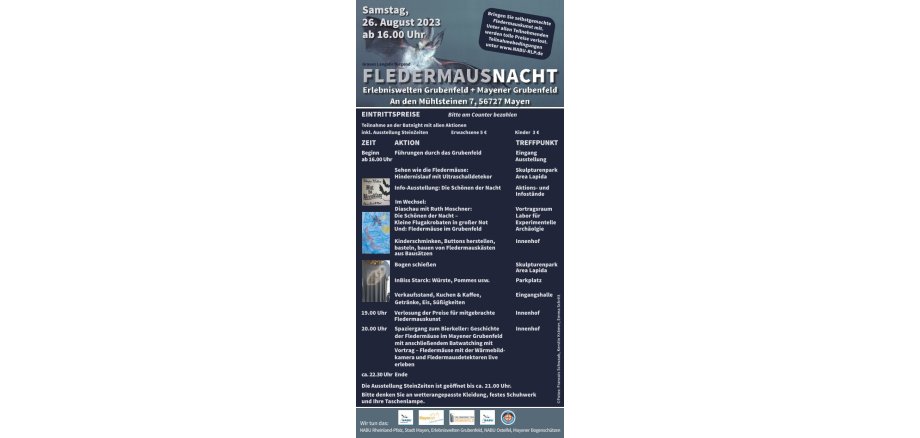 Programmflyer zur Bat Night