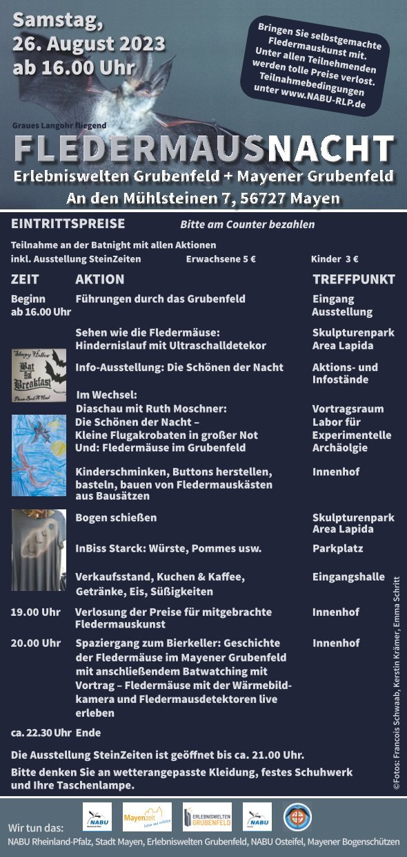 Programmflyer zur Bat Night