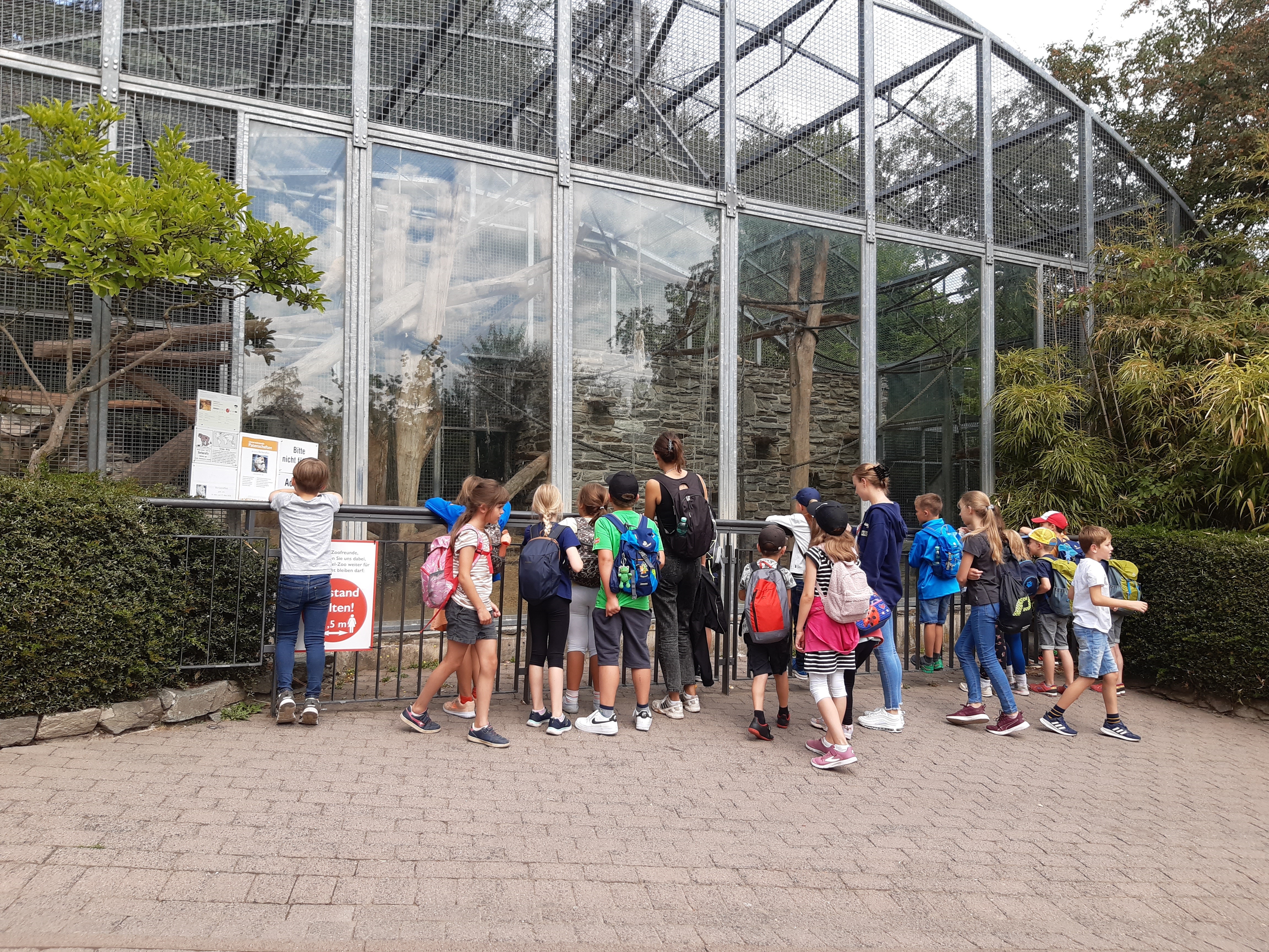 Eine Gruppe von Kindern steht am Tiergehege